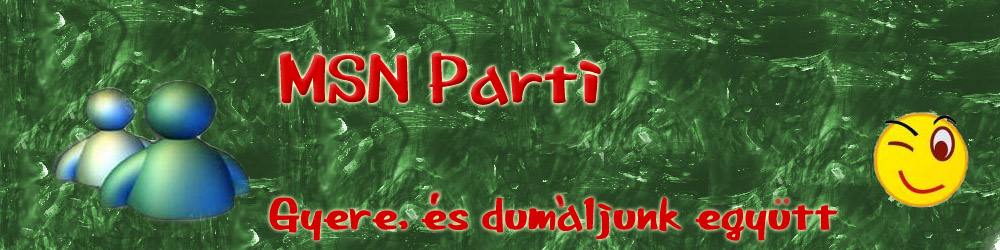 ---==MSN parti==---
